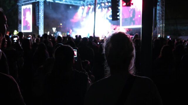 Silhouettes of people enjoying themselves at a concert