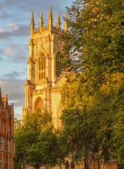 York Minster in the glow of an evening sun with as trees in the foreground.