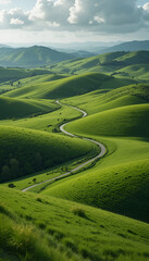 Fototapeta premium Scenic Green Field with Winding Path