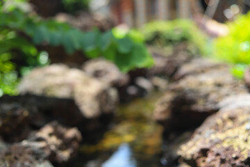 Blurred background