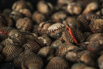 fresh blood cockles display at the wet market or fish market stall