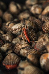 fresh blood cockles display at the wet market or fish market stall