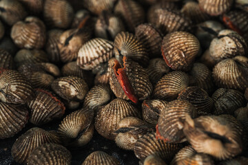 fresh blood cockles display at the wet market or fish market stall