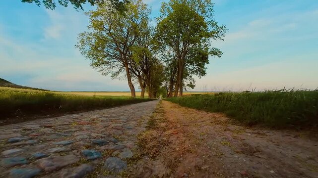 POV car driving down cobblestone road surrounded by countryside at sunset. Vehicle moving along rural stone path in warm evening light, point of view perspective. Sunset ride over bumpy road between