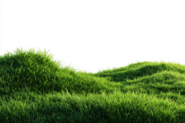 3D illustration of curve green grass isolated on transparent background, green grassy hills for poster banner cover design