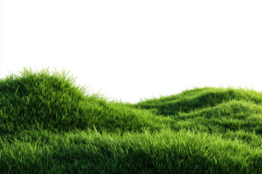 3D illustration of curve green grass isolated on transparent background, green grassy hills for poster banner cover design