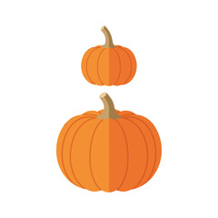 Two orange pumpkins with a smooth texture on white background  