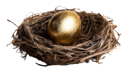 Golden Egg Resting Securely in a Detailed Natural Twig Nest, cut out transparent