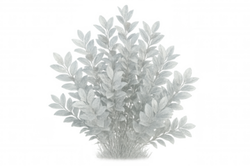 Silver leaves form an elegant foliage, perfect for adding a touch of nature to various designs, thanks to the transparent background