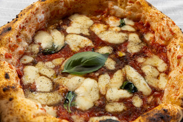 Classic Neapolitan Margherita Pizza