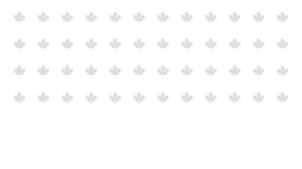 Grey icons of maple increasing from left to right, infographic background animation. Symbolizing Canada and Canadian identity. 4K pictogram motion graphic with blur and opacity animations - Powered by Adobe