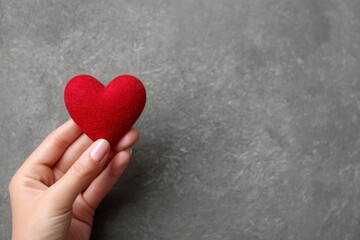 Fototapeta premium A hand holds a vibrant red heart against a textured gray background.