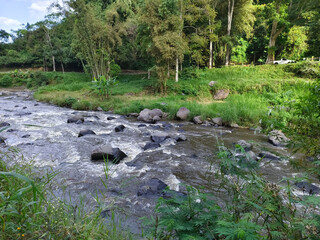 Winding River Amidst Lush Green Forest: A Serene Landscape Journey Through Nature's Untouched Beauty Under a Cloudy Sky
