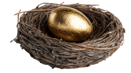 Golden egg resting in a twig bird nest against a white background, cut out transparent