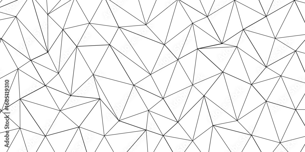 Wall mural abstract line background. abstract black lines with white background creative and geometric shape wi