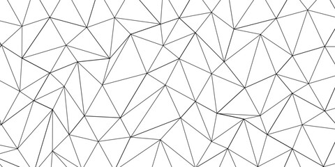 Abstract line background. abstract black lines with white background creative and geometric shape with white luxury pattern and paper texture and geometric shape with white luxury style.	