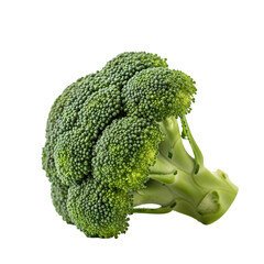 Fresh green broccoli floret, a healthy and vibrant ingredient for your culinary creations today