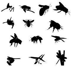  Insect Silhouettes Collection – Dragonfly, Bee, Fly, Wasp Vector Icons Set