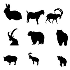 Wildlife Vector Collection Set

