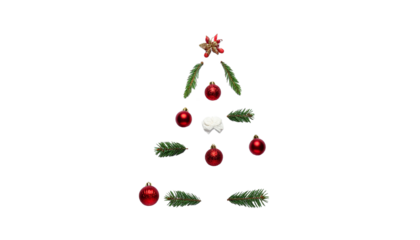 Christmas tree icon or Pine icon .Vector 