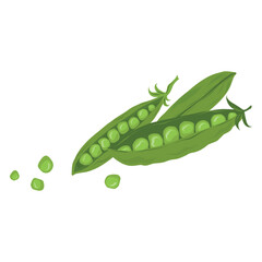 Pea Pod, Peapod Illustration, Fresh Pea Pod