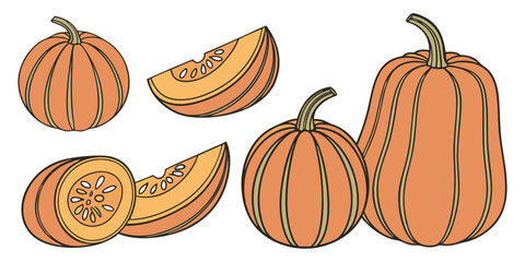 A collection of realistic pumpkins in various natural shapes and sizes, arranged in rows on a clean white background. The pumpkins are deep orange in color with distinct ridges and green stems. Some a