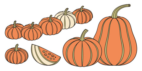A collection of realistic pumpkins in various natural shapes and sizes, arranged in rows on a clean white background. The pumpkins are deep orange in color with distinct ridges and green stems. Some a