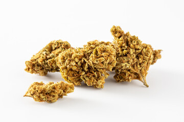 Close-Up of Dried Cannabis Flower on White Background