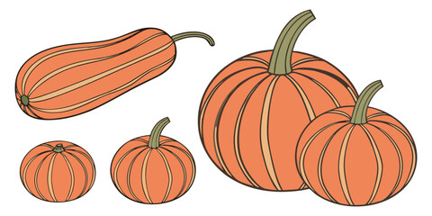 A collection of realistic pumpkins in various natural shapes and sizes, arranged in rows on a clean white background. The pumpkins are deep orange in color with distinct ridges and green stems. Some a