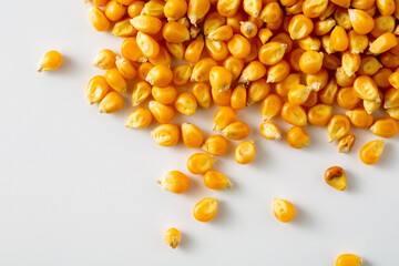 Fototapeta premium Yellow Corn Kernels on White Surface for Culinary Uses and Recipes