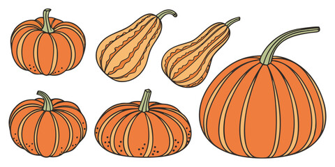 A collection of realistic pumpkins in various natural shapes and sizes, arranged in rows on a clean white background. The pumpkins are deep orange in color with distinct ridges and green stems. Some a