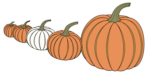 A collection of realistic pumpkins in various natural shapes and sizes, arranged in rows on a clean white background. The pumpkins are deep orange in color with distinct ridges and green stems. Some a