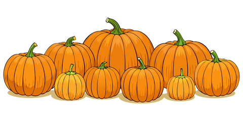 A collection of realistic pumpkins in various natural shapes and sizes, arranged in rows on a clean white background. The pumpkins are deep orange in color with distinct ridges and green stems. Some a