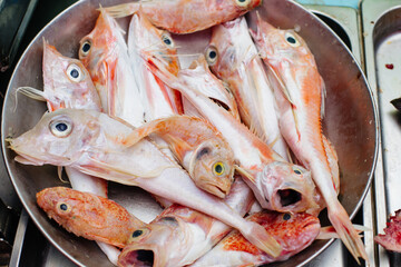 Fresh catch of red fish with large eyes at fish market. Close-up shot of raw red fish with big eyes...