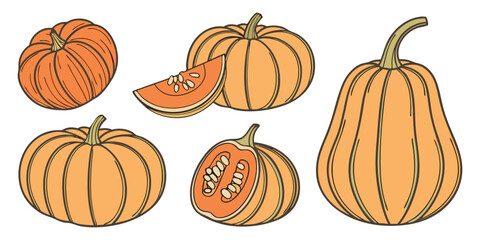 A collection of realistic pumpkins in various natural shapes and sizes, arranged in rows on a clean white background. The pumpkins are deep orange in color with distinct ridges and green stems. Some a