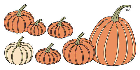 A collection of realistic pumpkins in various natural shapes and sizes, arranged in rows on a clean white background. The pumpkins are deep orange in color with distinct ridges and green stems. Some a