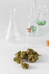 Close-up of Green Cannabis Buds with Laboratory Equipment in Background