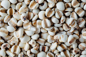 White Grains of Organic Millet Spread Out on a Smooth Surface
