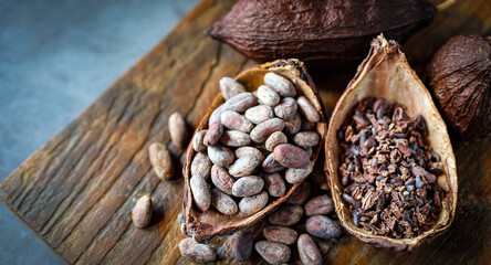 cocoa bean and cocoa nibs, cacao pods