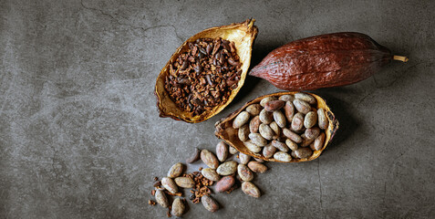 cocoa bean and cocoa nibs, cacao pods on gray background