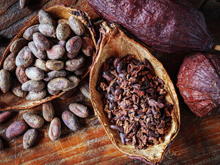 Close-up of Cocoa nibs and cocoa bean