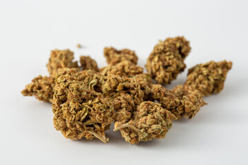 Close-Up View of Cannabis Flower on a White Background