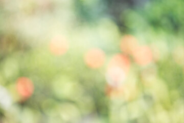 Soft Focus Background of Colorful Flowers in Green Garden Setting