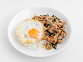 Delicious Stir-Fried Chicken with Egg on Rice Plate Presentation