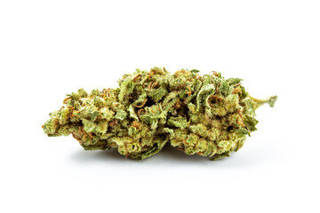 Close-up of Fresh Green Cannabis Flower Isolated on White Background
