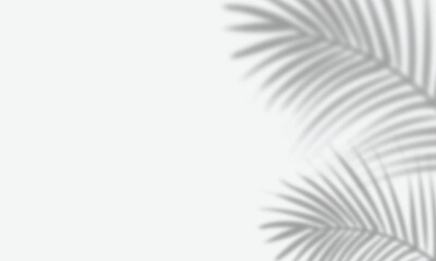 black silhouette palm leaf shadow overlay isolated on transparent background