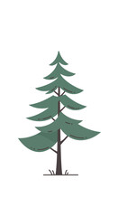 Obraz premium Charming evergreen tree illustration perfect for holiday cards and festive designs, adding a touch of nature to your projects with rustic charm