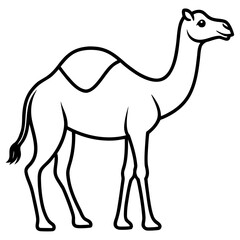 Camel Outline Vector Art