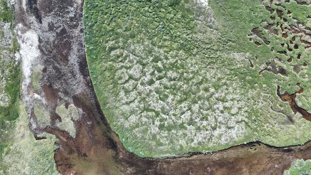 Aerial view of Saltfjellet mountain wetlands with winding brown streams and green mossy patches