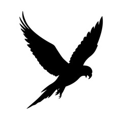 Parrot Silhouette Soaring High: The striking silhouette of a vibrant parrot in full flight, its wings gracefully spread, embodies freedom and movement.
